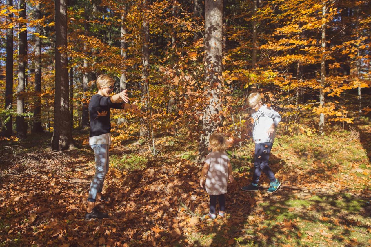 Drewniana Roza Domki Karkonosze Piechowice  Luaran gambar